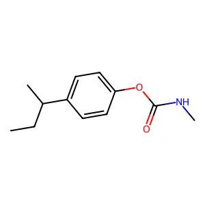 (4-butan-2-ylphenyl) N-methylcarbamate structure