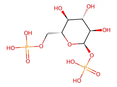 2fkf structure