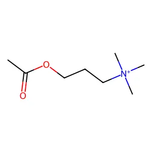 Acetylhomocholine structure
