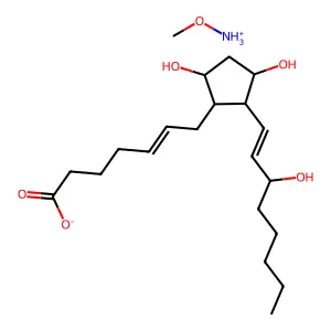 Dinoprost methoxyamine structure