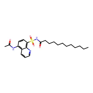 N-(5-acetamidoquinolin-8-yl)sulfonyldodecanamide structure
