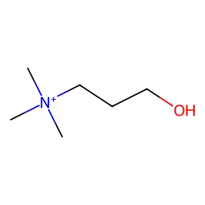 Homocholine structure