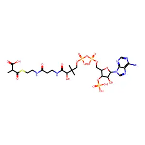 Methylmalonyl Coenzyme A, Free acid structure