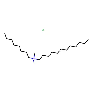 Octyldodecyldimethylammonium chloride structure