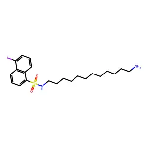 N-(12-Aminododecyl)-5-iodo-1-naphthalenesulfonamide structure