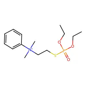 GT 161 structure