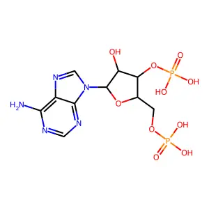 1vkj structure