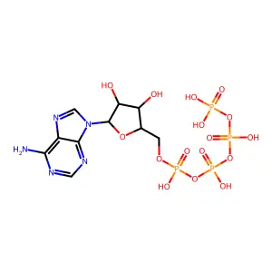 adenosine tetraphosphate structure