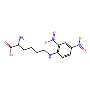 epsilon-Dinitrophenyllysine structure