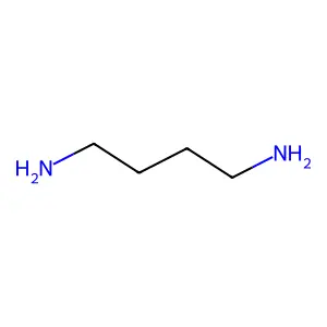 Compound C4H12N2 structure