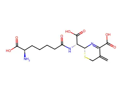 Cephalosporine structure