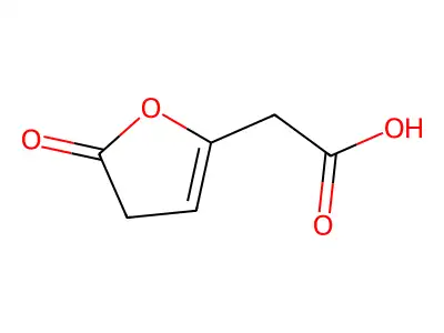 3-Oxoadipate enol-lactone structure