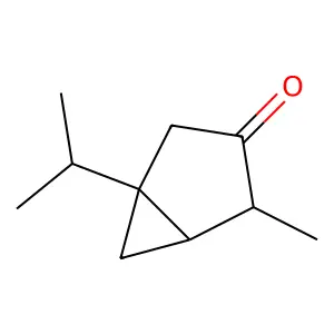 Compound C10H16O structure