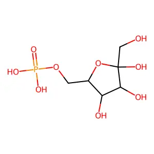 RefChem:937925 structure