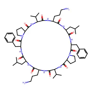 Gramicidin S structure