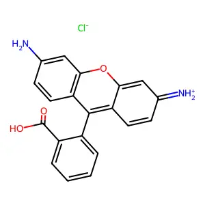 Rhodamine 110 structure
