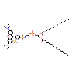 Nlrbs-dppc structure