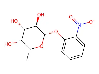 onpf structure