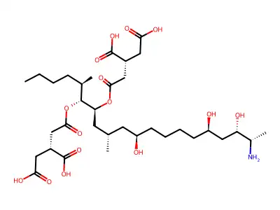 fumonisin b1 structure