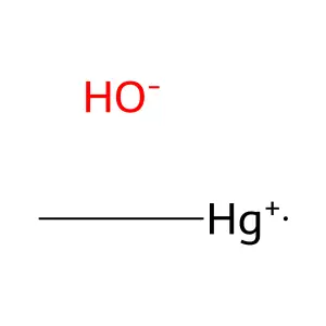 Hydroxymethylmercury structure
