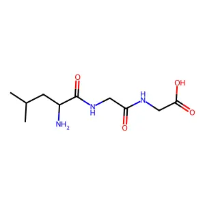 Leu-Gly-Gly structure