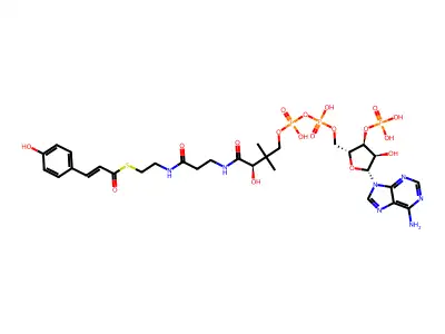 4-coumaroyl-CoA structure