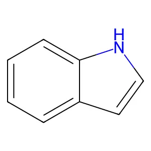 indole structure