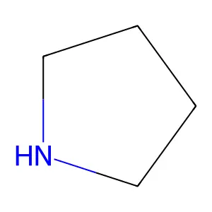 pyrrolidine structure