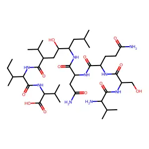 U85548e structure