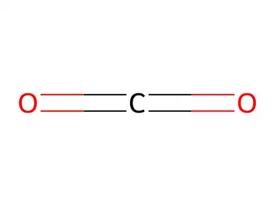 carbon dioxide structure