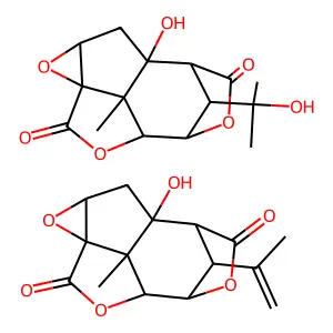 (1R,3R,5S,8S,13R,14S)-1-hydroxy-14-(2-hydroxypropan-2-yl)-13-methyl-4,7,10-trioxapentacyclo[6.4.1.19,12.03,5.05,13]tetradecane-6,11-dione(1R,5S,8S,13R,14R)-1-hydroxy-13-methyl-14-prop-1-en-2-yl-4,7,10 structure