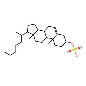 Cholesterol sulfate structure