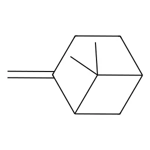 BETA-PINENE structure