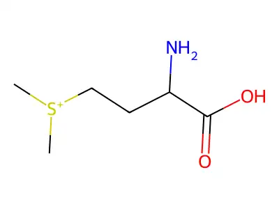 S-methylmethionine structure