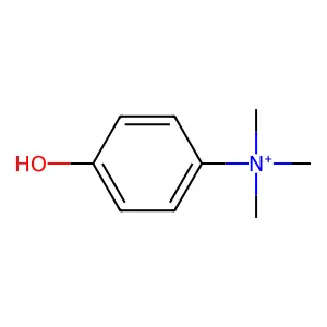 NoName919 structure