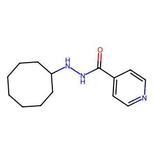 N'-cyclooctylpyridine-4-carbohydrazide structure