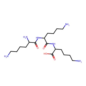 Lysyllysyllysine structure