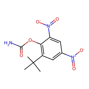 (2-tert-butyl-4,6-dinitrophenyl) carbamate structure