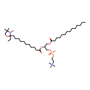 12-Doxyl-dmpc structure