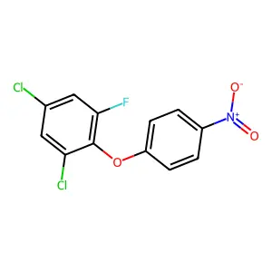 Fluoronitrofen structure