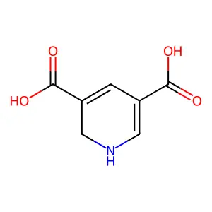 1,2-dihydropyridine-3,5-dicarboxylic acid structure