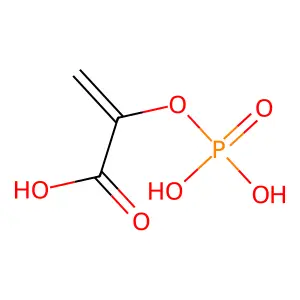 phosphoenolpyruvate structure