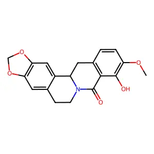 Gusanlung A structure