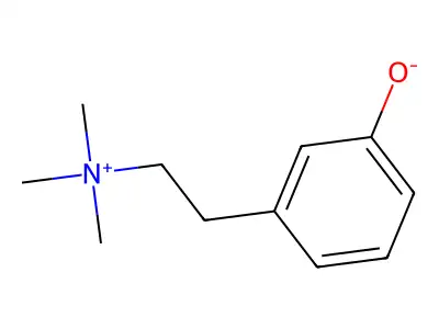 Leptodactyline structure
