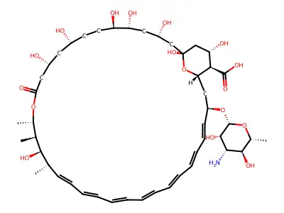 amphotericin b structure