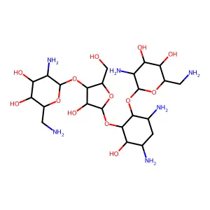 neomycin structure