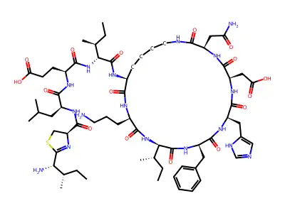 bacitracin structure