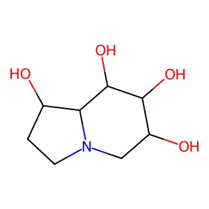 octahydroindolizine-1,6,7,8-tetrol structure
