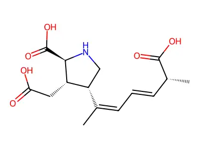 domoic acid structure