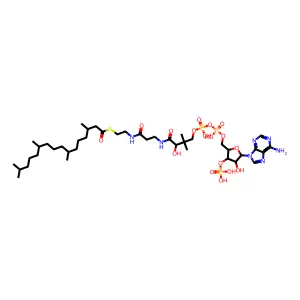 Phytanoyl-coenzyme A structure